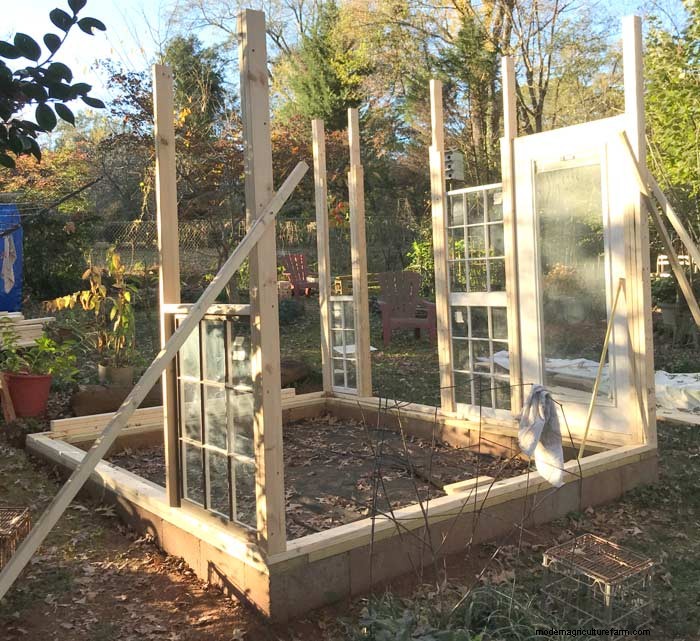 DIY Guide: Build an Affordable Hobby Greenhouse from Recycled Windows