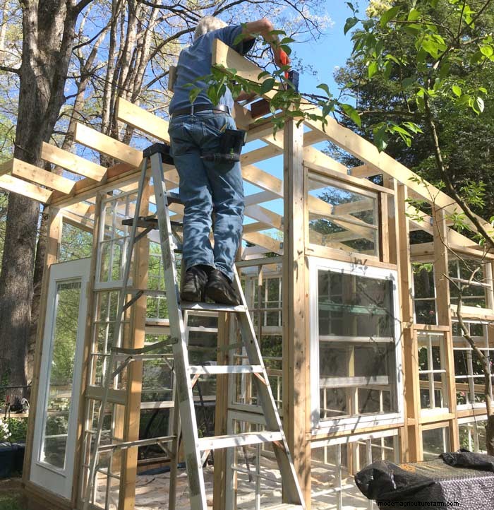 DIY Guide: Build an Affordable Hobby Greenhouse from Recycled Windows
