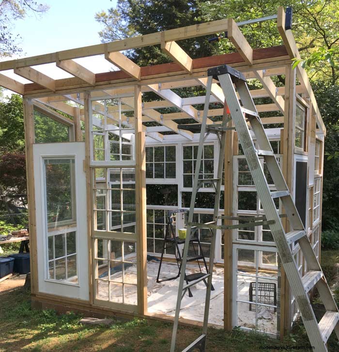 DIY Guide: Build an Affordable Hobby Greenhouse from Recycled Windows