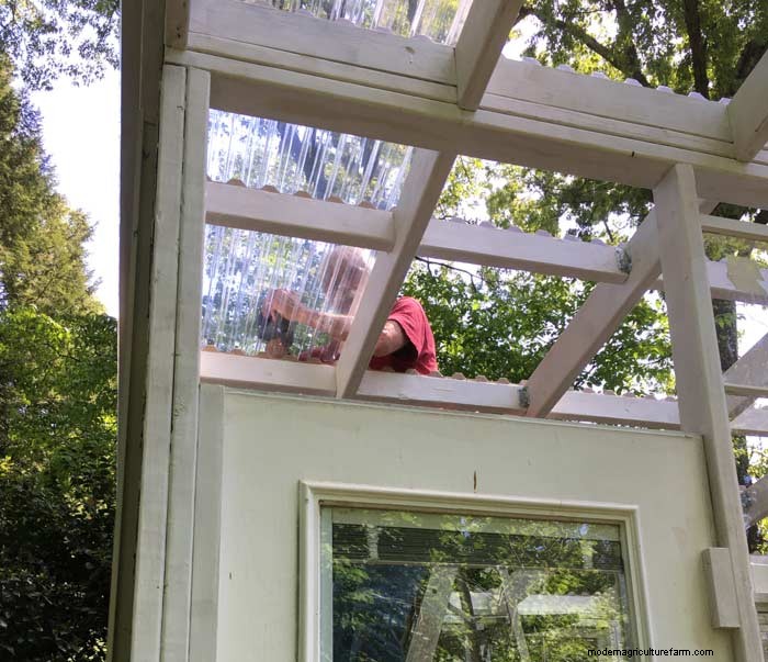 DIY Guide: Build an Affordable Hobby Greenhouse from Recycled Windows