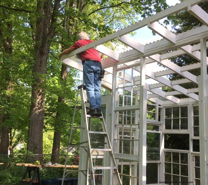 DIY Guide: Build an Affordable Hobby Greenhouse from Recycled Windows