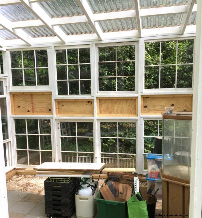 DIY Guide: Build an Affordable Hobby Greenhouse from Recycled Windows