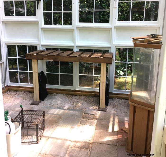 DIY Guide: Build an Affordable Hobby Greenhouse from Recycled Windows