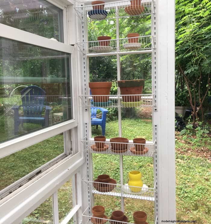 DIY Guide: Build an Affordable Hobby Greenhouse from Recycled Windows