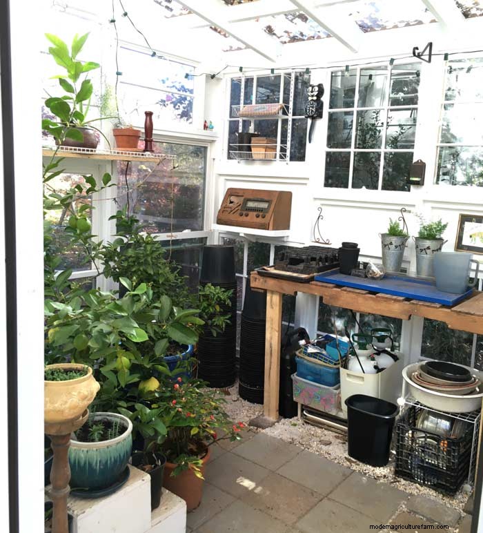 DIY Guide: Build an Affordable Hobby Greenhouse from Recycled Windows