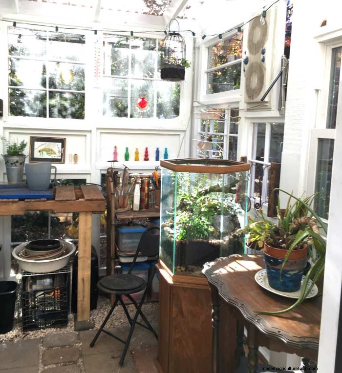 DIY Guide: Build an Affordable Hobby Greenhouse from Recycled Windows
