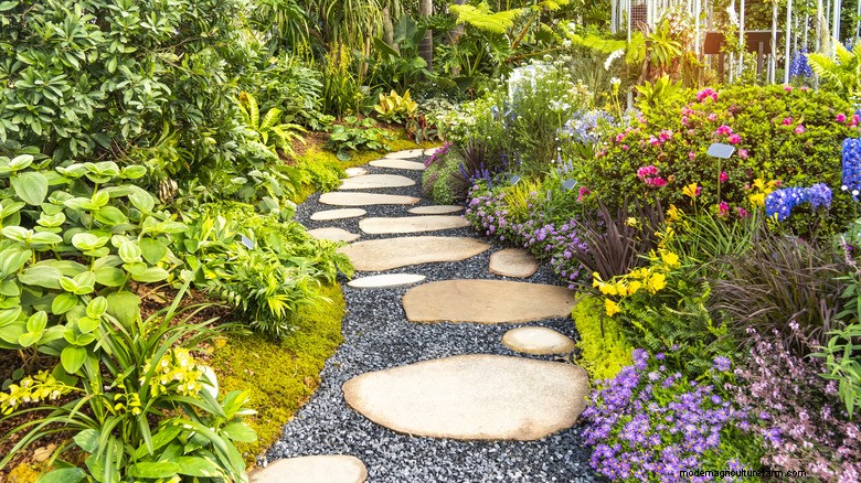 Lamb’s Ears: A Low‑Maintenance, Weed‑Free Groundcover That Blooms Beautifully
