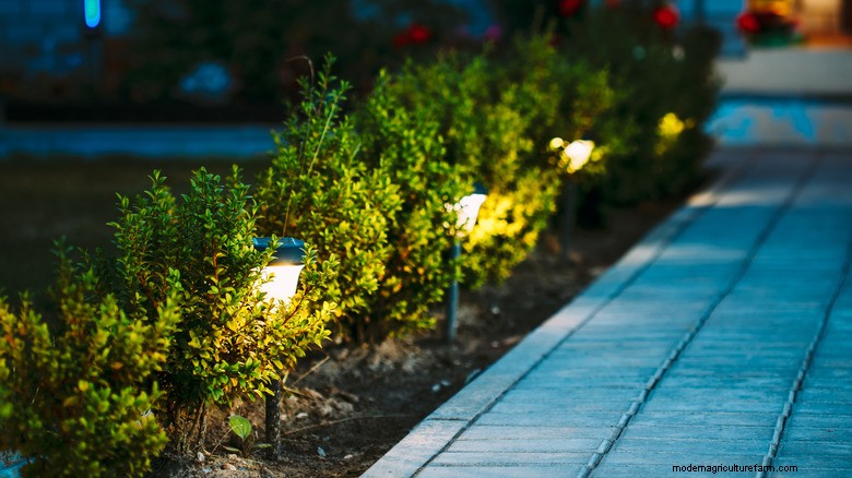 Layered Outdoor Lighting Outshines Solar Lights in 2026: Expert Insights