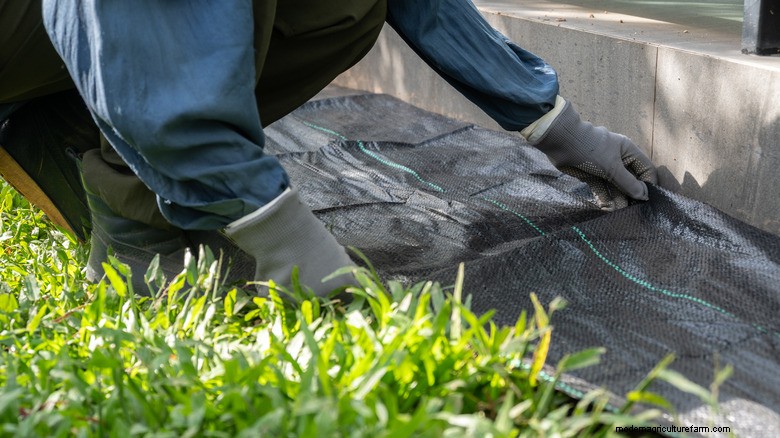 Why Wood Chips Outperform Plastic Landscape Fabric: A Sustainable, Low‑Maintenance Weed‑Control Solution