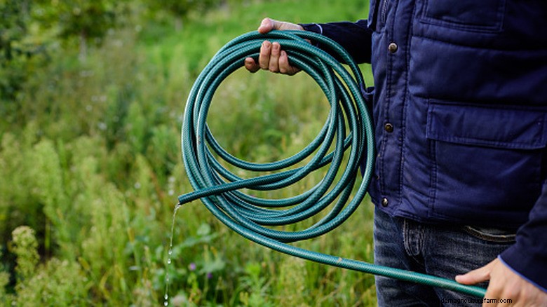 Eliminate Garden Hose Chaos with a Sleek, Space‑Saving Holder That Boosts Curb Appeal
