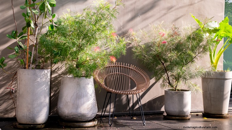 DIY Concrete Planters from Old Towels: An Eco‑Friendly, Budget‑Savvy Upgrade