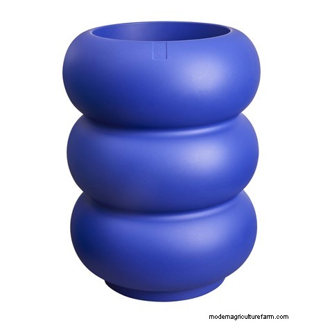 Elevate Your Outdoor Space with Pinterest’s 2026 “Fun Haus” Must‑Have Garden Must‑Haves