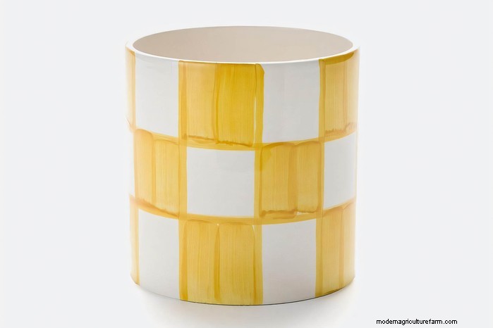 Elevate Your Outdoor Space with Pinterest’s 2026 “Fun Haus” Must‑Have Garden Must‑Haves