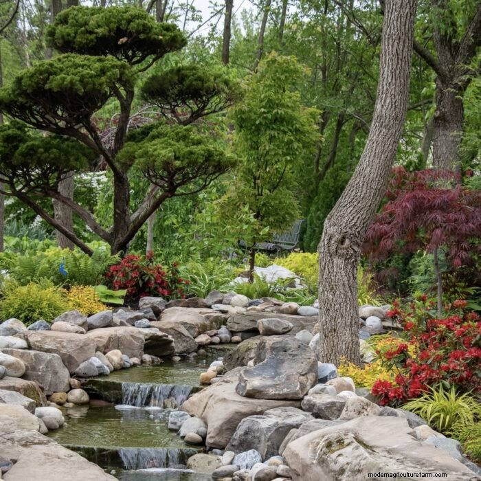 Texture‑Rich Planting Plans for a Stunning Woodland Garden