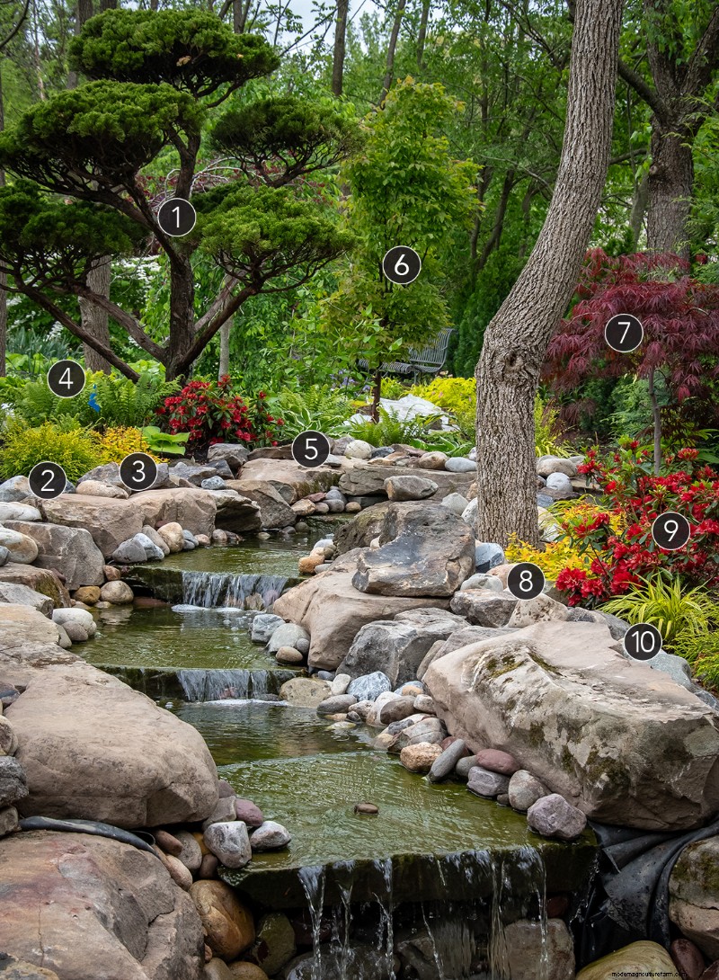 Texture‑Rich Planting Plans for a Stunning Woodland Garden