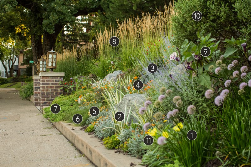 Revitalizing Mature Gardens: Three Proven Planting Schemes