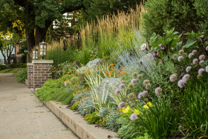 Revitalizing Mature Gardens: Three Proven Planting Schemes