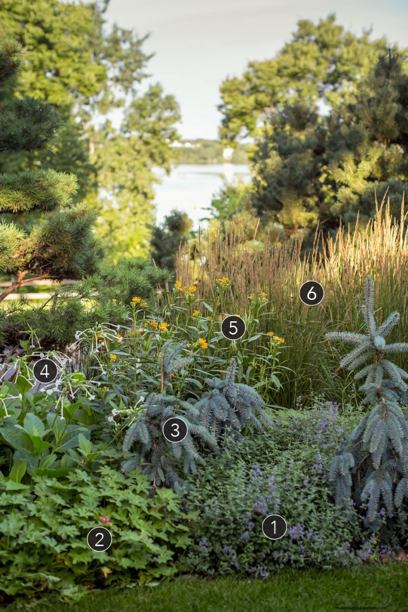 Revitalizing Mature Gardens: Three Proven Planting Schemes
