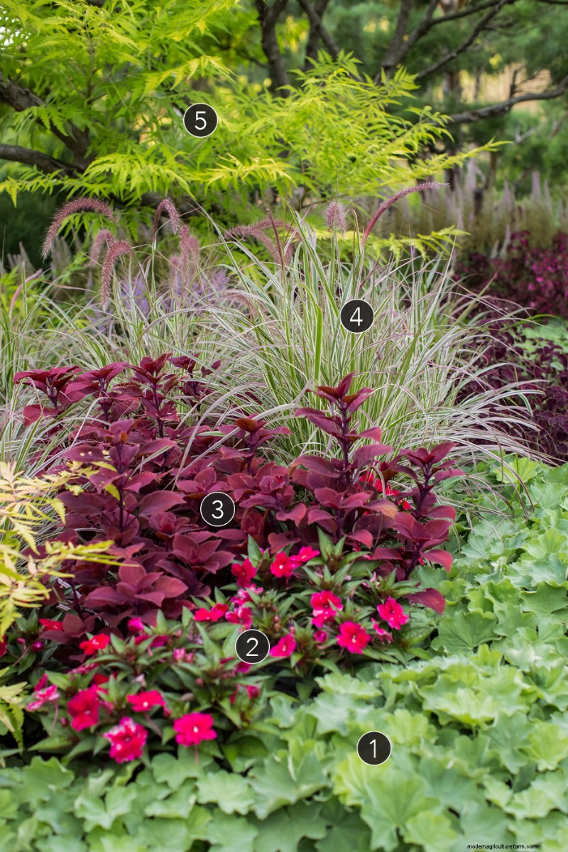 Revitalizing Mature Gardens: Three Proven Planting Schemes