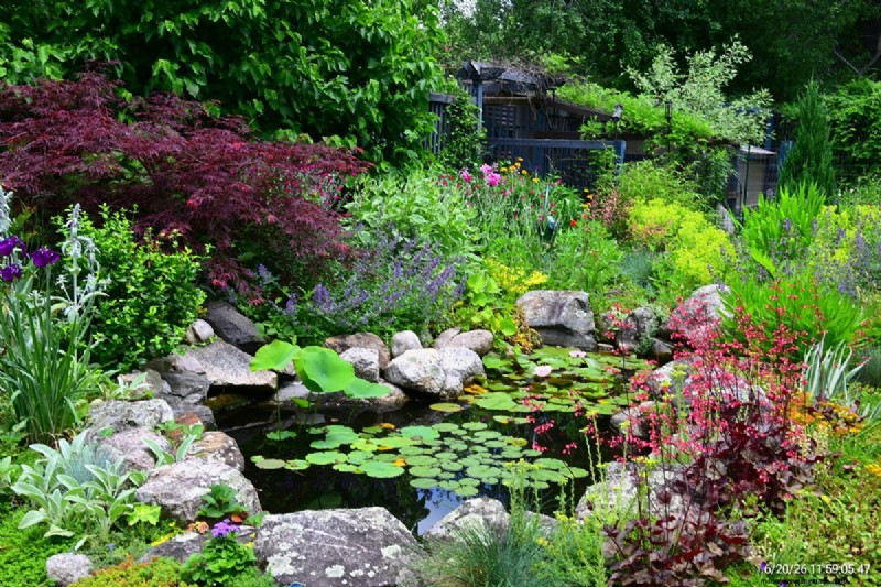 Tingshu’s Garden: Vibrant, Low‑Maintenance Flowers for the Summer