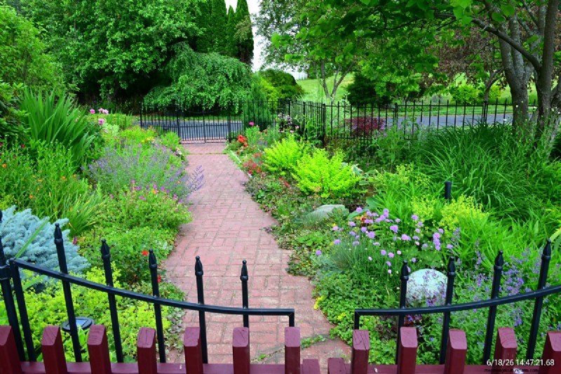 Tingshu’s Garden: Vibrant, Low‑Maintenance Flowers for the Summer