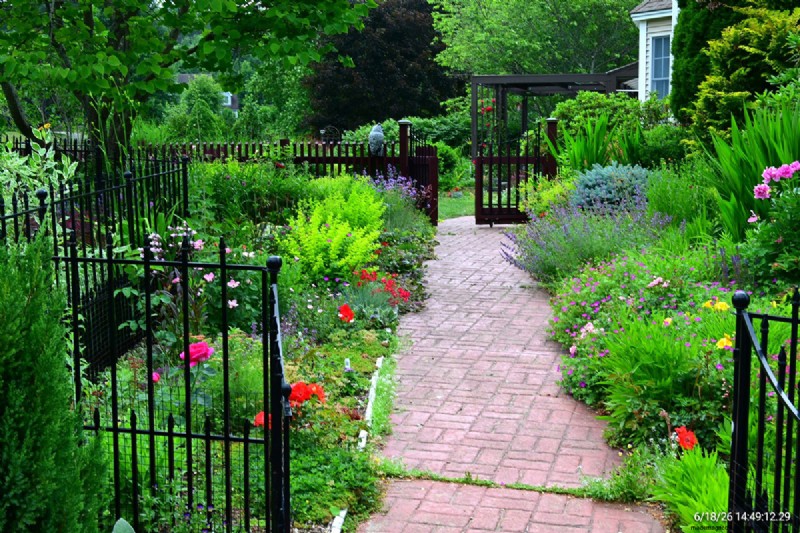 Tingshu’s Garden: Vibrant, Low‑Maintenance Flowers for the Summer