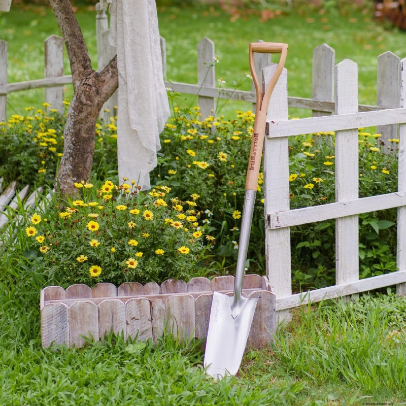 Tingshu’s Garden: Vibrant, Low‑Maintenance Flowers for the Summer