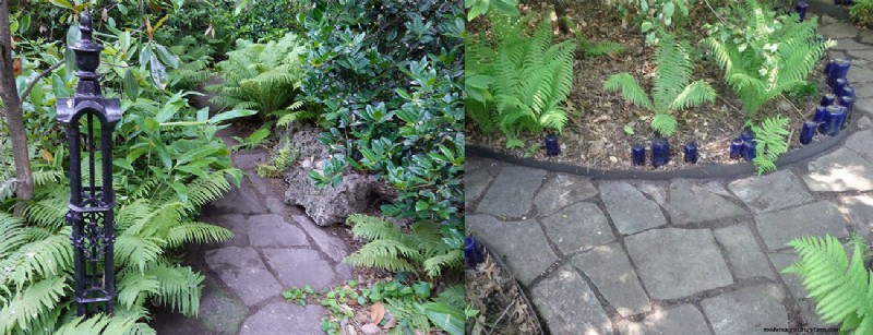 Sue & Marshall Goodwin’s 14‑Year‑Old Pittsburgh Garden: A Sanctuary of Resilience and Beauty