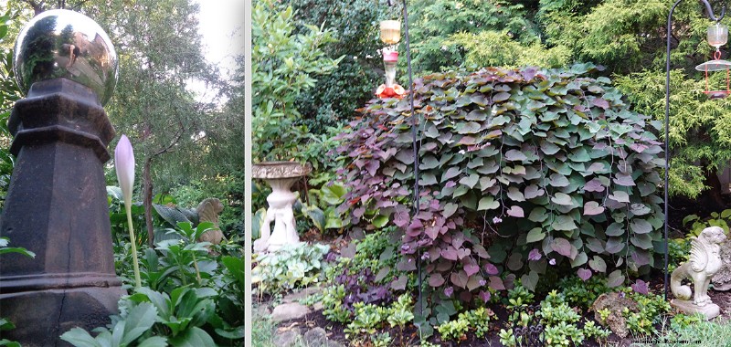 Sue & Marshall Goodwin’s 14‑Year‑Old Pittsburgh Garden: A Sanctuary of Resilience and Beauty