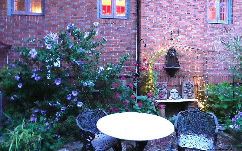 Sue & Marshall Goodwin’s 14‑Year‑Old Pittsburgh Garden: A Sanctuary of Resilience and Beauty