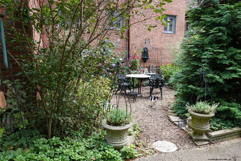 Sue & Marshall Goodwin’s 14‑Year‑Old Pittsburgh Garden: A Sanctuary of Resilience and Beauty