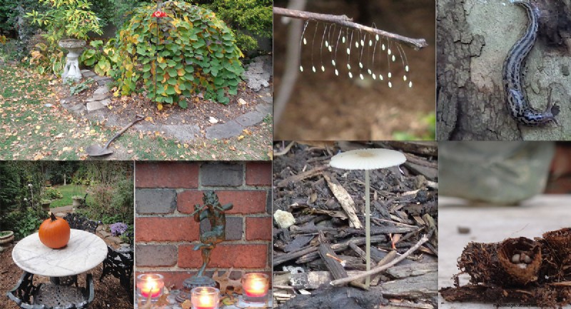 Sue & Marshall Goodwin’s 14‑Year‑Old Pittsburgh Garden: A Sanctuary of Resilience and Beauty