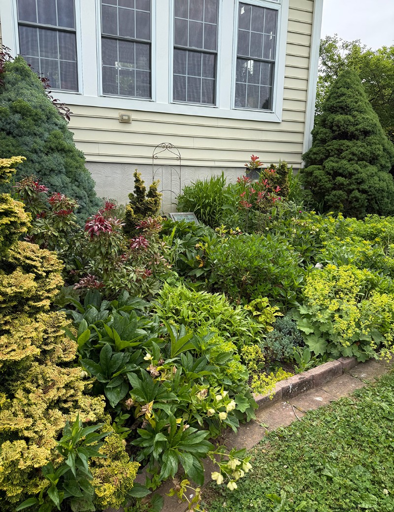 Carol Gibson’s Cottage Garden: A 20‑Year Transformation in Quarryville, PA