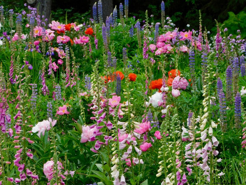 Heidi Weirether’s Continuous Color Mastery in Late‑May Connecticut Gardens