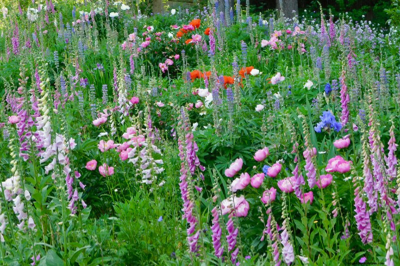 Heidi Weirether’s Continuous Color Mastery in Late‑May Connecticut Gardens
