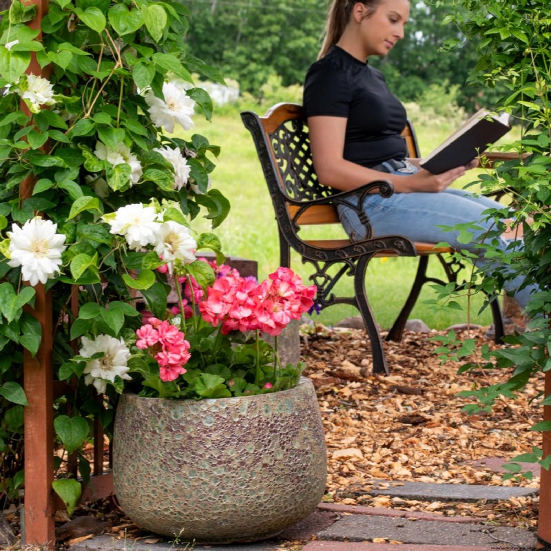 Carla Zambelli Mudry’s Rose Collection in Pennsylvania