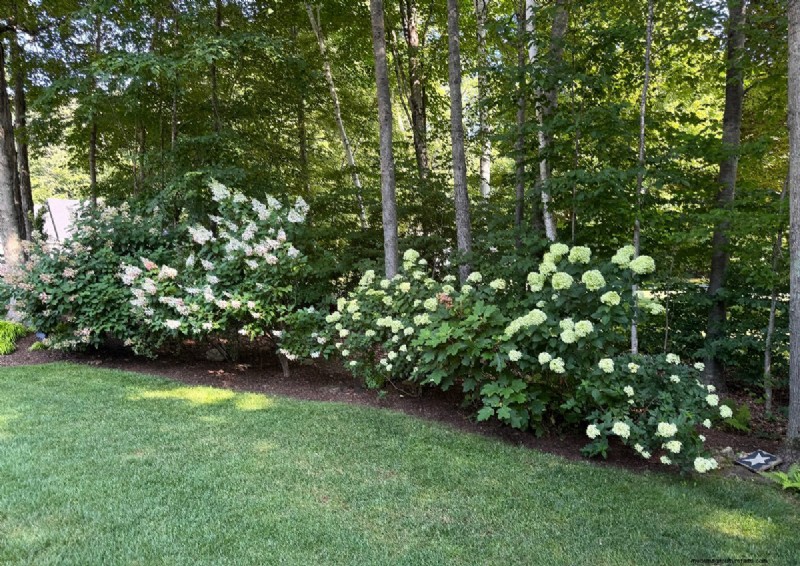 Jeffrey Connors  Vibrant Garden in Coventry, Connecticut