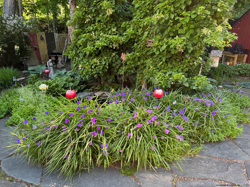 Jeffrey Connors  Vibrant Garden in Coventry, Connecticut