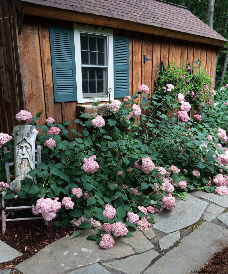 Jeffrey Connors  Vibrant Garden in Coventry, Connecticut
