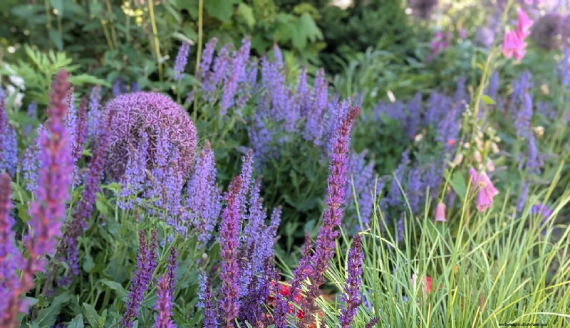 Jennifer Koch Pfeiffer: Mastering Color & Texture in Scarsdale Gardens