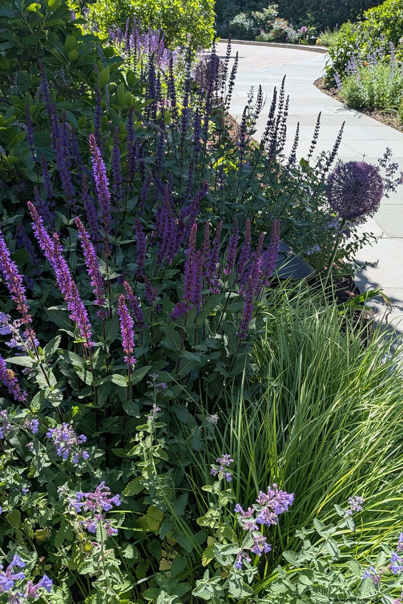 Jennifer Koch Pfeiffer: Mastering Color & Texture in Scarsdale Gardens