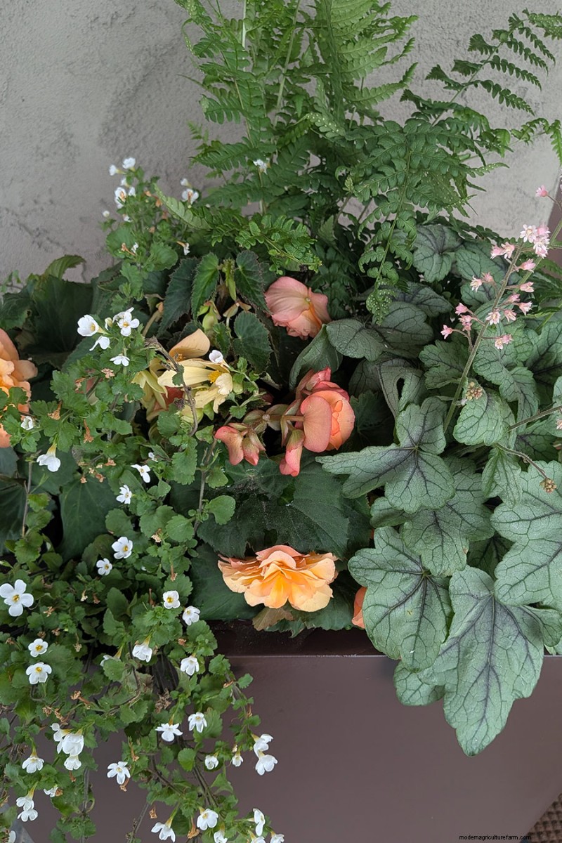 Jennifer Koch Pfeiffer: Mastering Color & Texture in Scarsdale Gardens