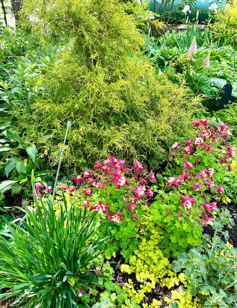Fran Watson’s Vibrant Spring Garden on Martha’s Vineyard