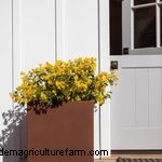 Fran Watson’s Vibrant Spring Garden on Martha’s Vineyard