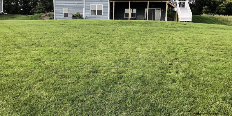 Mastering Grass Growth on Hills: Proven Techniques for Erosion Control and Turf Success