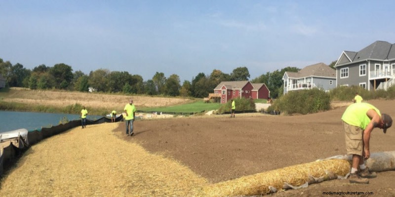 Mastering Grass Growth on Hills: Proven Techniques for Erosion Control and Turf Success