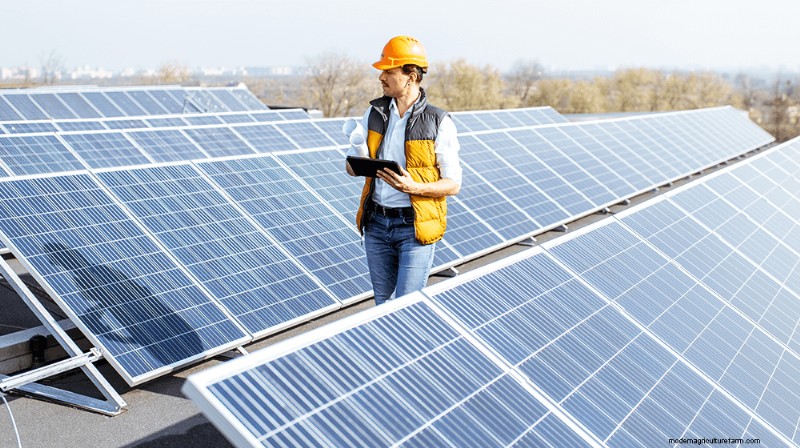 How to Launch a Profitable Solar Farm: A Comprehensive Business Guide