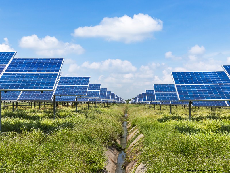 How to Launch a Profitable Solar Farm: A Comprehensive Business Guide