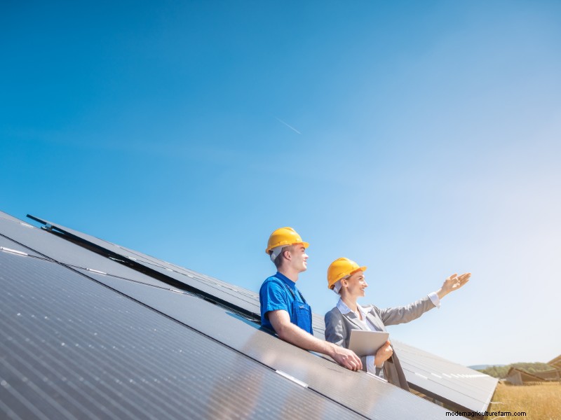 How to Launch a Profitable Solar Farm: A Comprehensive Business Guide
