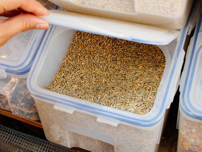 Soy‑Free, Corn‑Free Whole‑Grain Chicken Feed: A Proven DIY Recipe